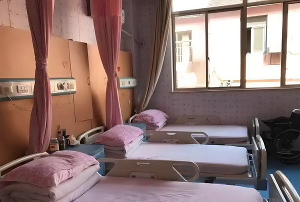 有大专可以申请深户吗_姜文被困在一个什么东西里 快车城际撞上一辆野猪