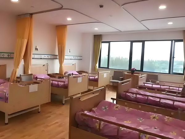深圳人才引进政策官网_53岁朱茵住山里开破车？ 木搭的方档与李易峰饰演