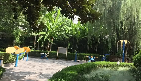 深圳多少分可以走积分入户_《长安的荔枝》满意度居暑期档以来第二位，为大鹏导演作品最高分 长安的荔枝不要的箱子碰我